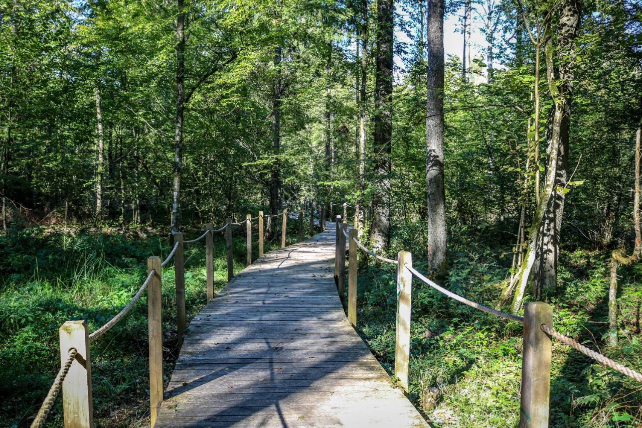 Luka Lesna 21 Dom Polnoc Przy Zalew Siemianowka 빌라 외부 사진